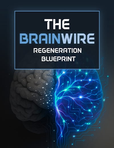 Audifort BONUS #2 - The Brainwire Regeneration Blueprint